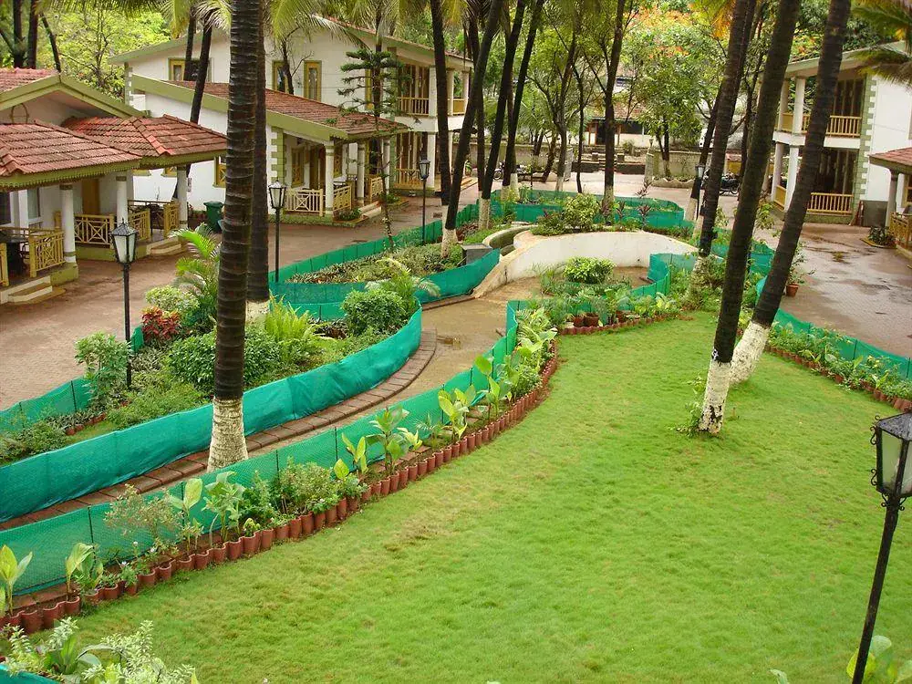 Golden Swan Beach Resort beneath coconut palms